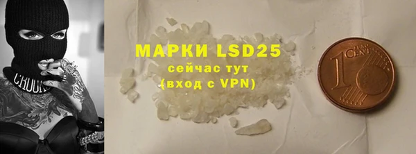 ГАЛЛЮЦИНОГЕННЫЕ ГРИБЫ Верея