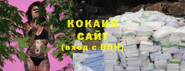 ГАЛЛЮЦИНОГЕННЫЕ ГРИБЫ Верея