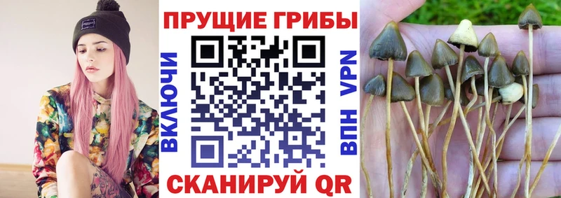 Псилоцибиновые грибы мухоморы  купить закладку  Братск 